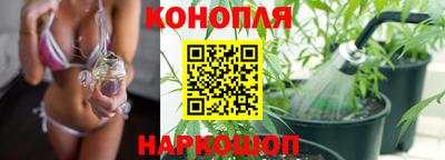 скорость Жуковский