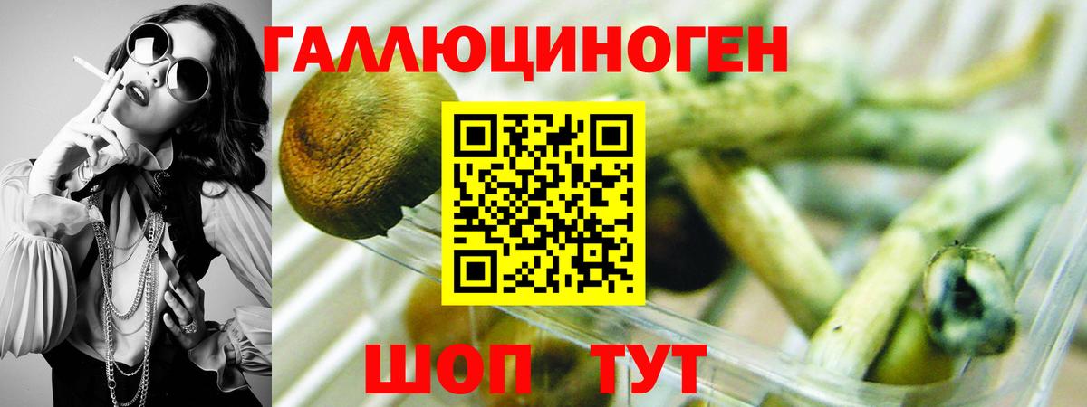 Псилоцибиновые грибы GOLDEN TEACHER  Вход с VPN  Миллерово 